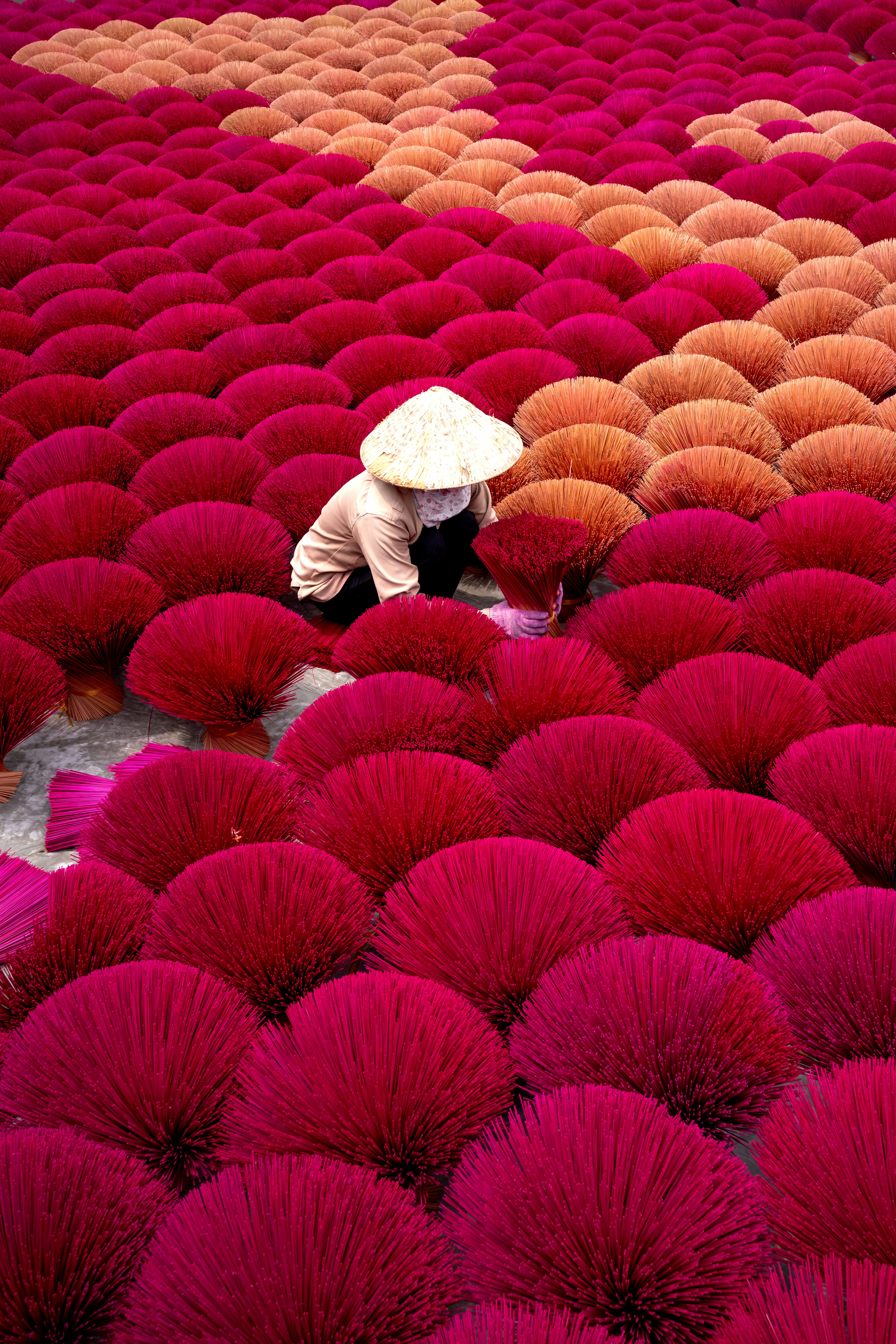 quang-nguyen-vinh-F1j6FRh5zR8-unsplash